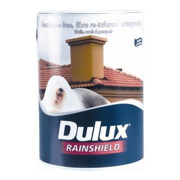 Dulux - Rainshield - Paint - Waterproofing - White
