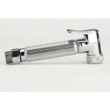 Gio Plumbing - ISM - Showers - Hand Showers - Chrome Plated
